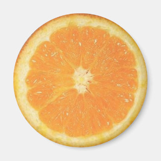 Orange segmentmagnet magnet