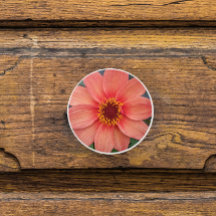 Orange Single Dahlia Blommigt