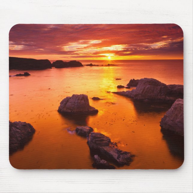Orange sjölandskap, solnedgång, Kalifornien Musmatta (Framsidan)