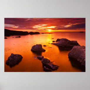 Orange sjölandskap, solnedgång, Kalifornien Poster