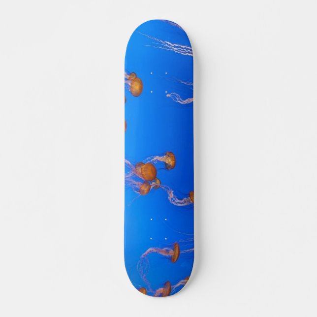 Orange Skateboard Bräda 19,5 Cm (Framsida)