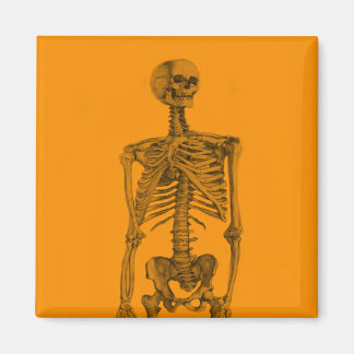 Orange Skeleton Skull Magnet