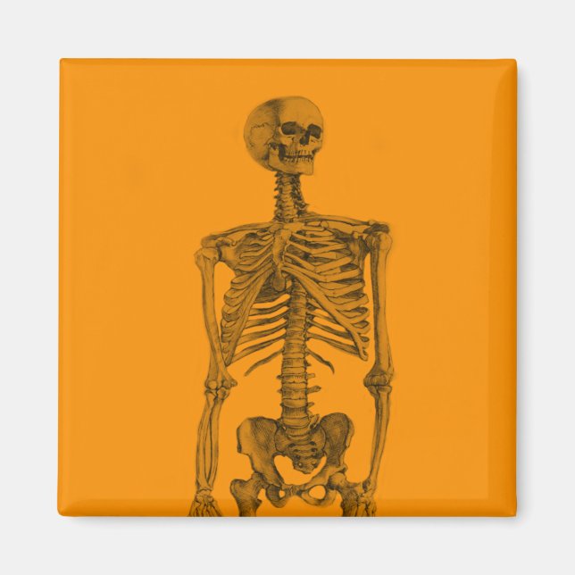 Orange Skeleton Skull Magnet (Framsidan)