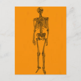 Orange Skelett Kalle Skull Vykort