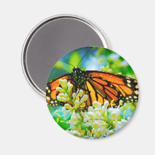 Orange-slampa-foto fet modern snyggt magnet