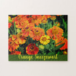 Orange Snyzeweed Helenium Garden Flowers Pussel