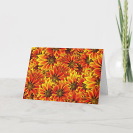 Orange Solblommor Kort
