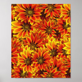 Orange Solblommor Poster