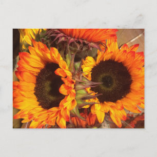 Orange Solblommor Vykort
