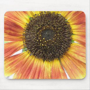 Orange Solros Mousepad Musmatta