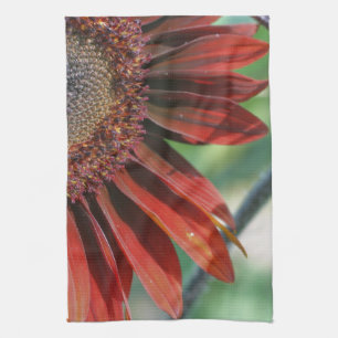 Orange SolrosBlommigt Kökshandduk
