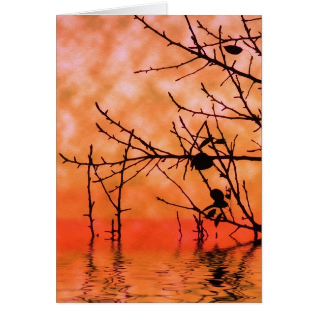 Orange Squasun-kort Hälsningskort (Framsidan)