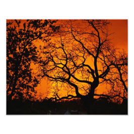 Orange Sunset Fototryck