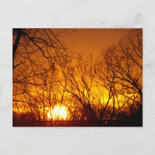 ORANGE SUNSET POSTCARD VYKORT