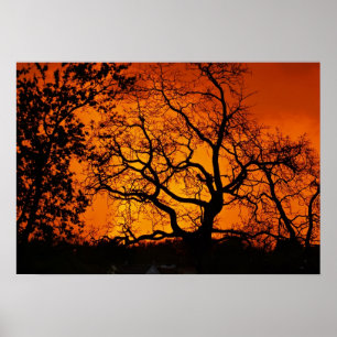 Orange Sunset Poster