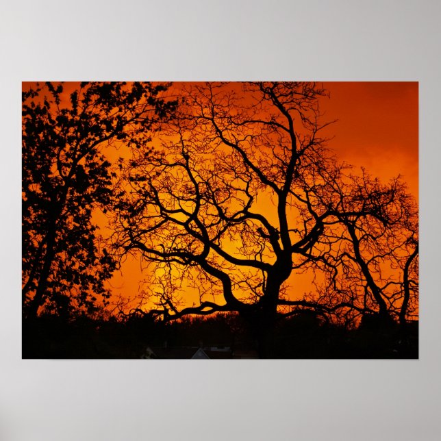 Orange Sunset Poster (Framsidan)