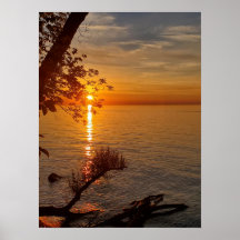 Orange Sunset