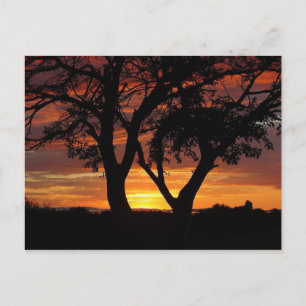 Orange Sunset Vykort