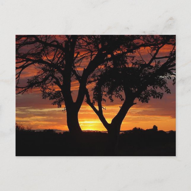 Orange Sunset Vykort (Framsida)