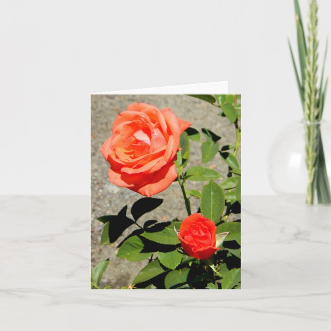 Orange Sunshine... Kort (Framsida)