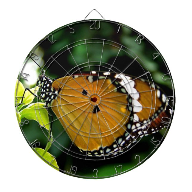 Orange, svart och vit fjäril på blad piltavla (Framsidan)
