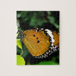 Orange, svart och vit fjäril på blad pussel