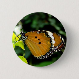 Orange, svart och vit fjäril på Löv Knapp