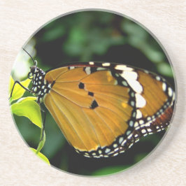 Orange, svart och vit fjäril på Löv Underlägg Sandsten