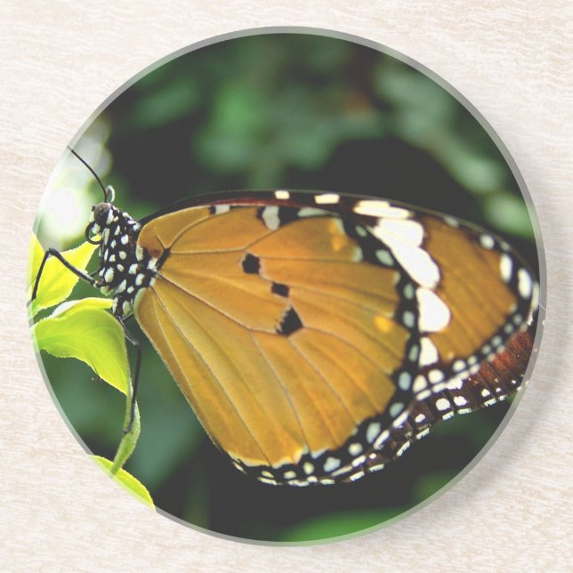 Orange, svart och vit fjäril på Löv Underlägg Sandsten (Framsidan)