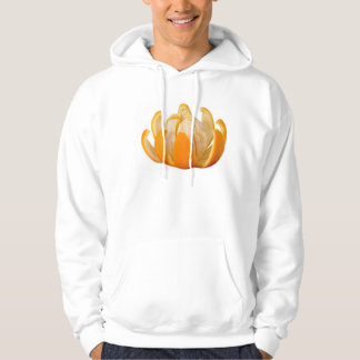 Orange Sweatshirt Med Luva