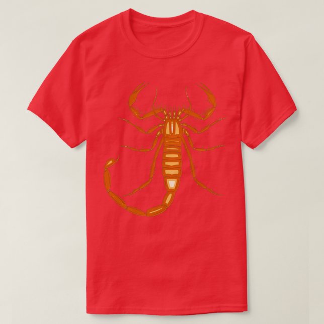 Orange T Shirt (Design framsida)