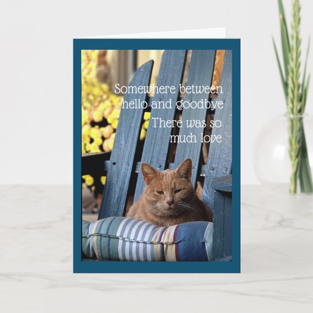 Orange Tabby Cat on Blue Chair  Card Kort (Framsida)