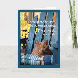 Orange Tabby Cat on Blue Chair Card Kort