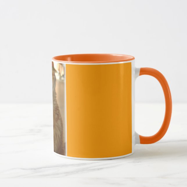Orange Tabby Citten Mugg (Höger)