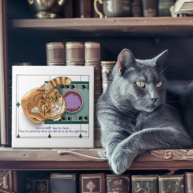 Orange Tabby Food Bowl Kitchen Kakelplatta (Skapare uppladdad)