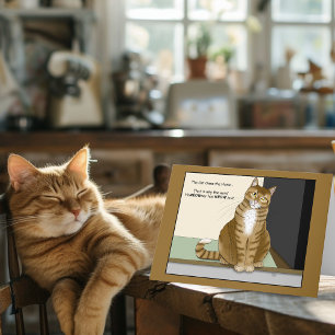 Orange Tabby Husägare Rolig Katt Kort
