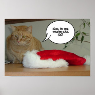 Orange Tabby-jul Poster