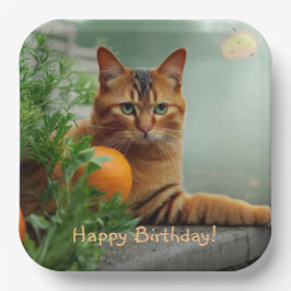 Orange Tabby katt