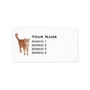 Orange tabby katt adressetikett