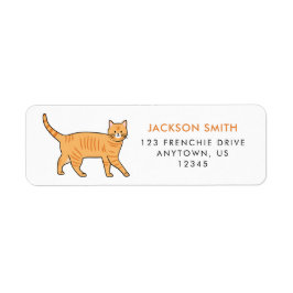 Orange Tabby katt-adressetikett Returadress Etikett