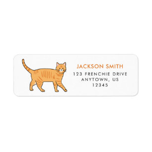Orange Tabby katt-adressetikett Returadress Etikett