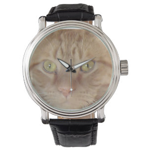 Orange Tabby katt Armbandsur
