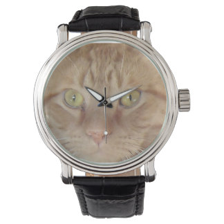 Orange Tabby katt Armbandsur