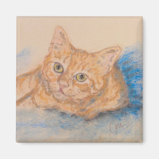 Orange Tabby katt Art Magnet