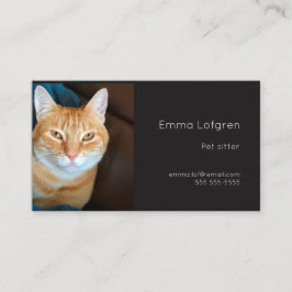 Orange tabby katt barnvakt visitkort