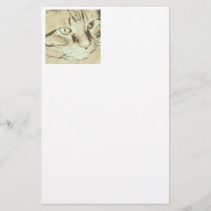 Orange Tabby katt Brevpapper
