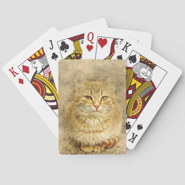 Orange Tabby katt Casinokort (Baksidan)