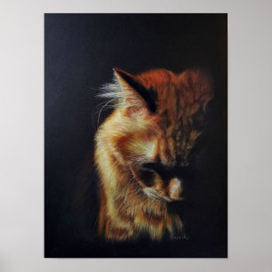Orange Tabby katt Färgpenna Art "håll dig stark" Poster