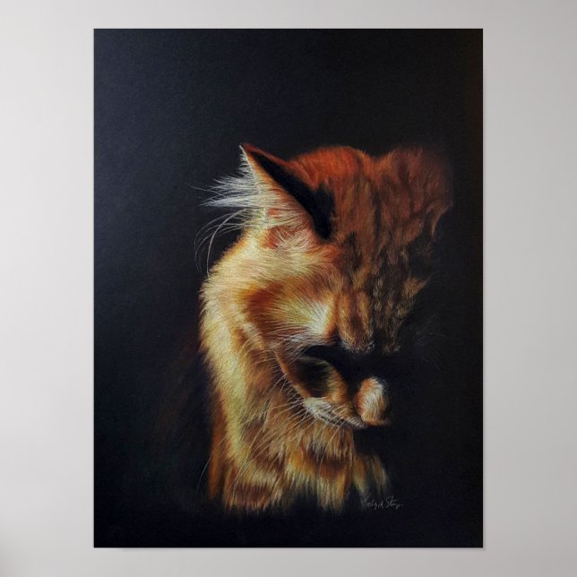 Orange Tabby katt Färgpenna Art "håll dig stark" Poster (Framsidan)