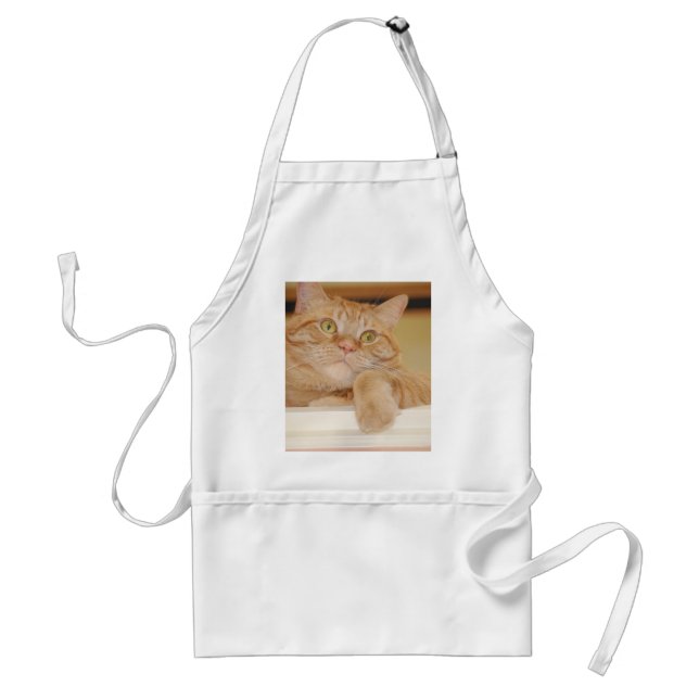 Orange Tabby katt Förkläde (Framsidan)